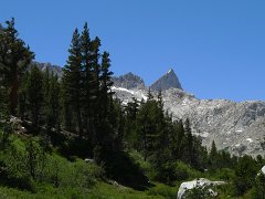 MineralKingLoop 190